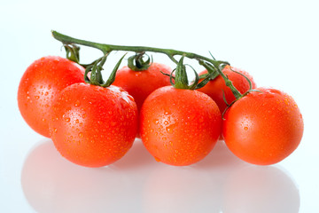 Fresh tomatoes, isolated