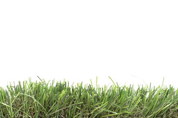 green grass over white background