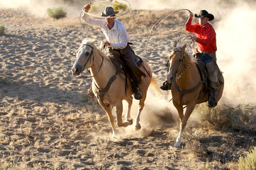 Two Cowboys galloping and roping through the desert