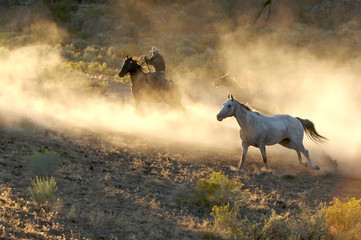 Two Cowboys galloping and roping through the desert