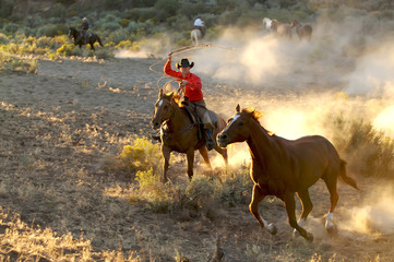 Two Cowboys galloping and roping through the desert