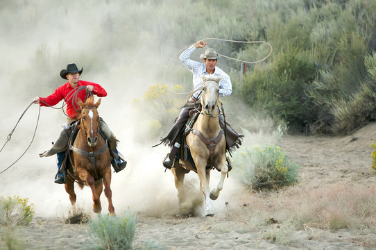 Fototapeta Two Cowboys galloping and roping through the desert