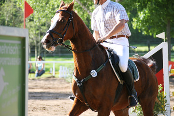 springreiten