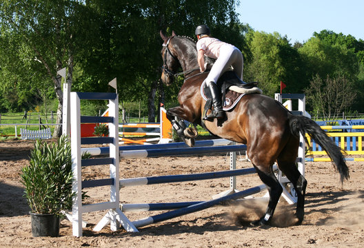 springreiten