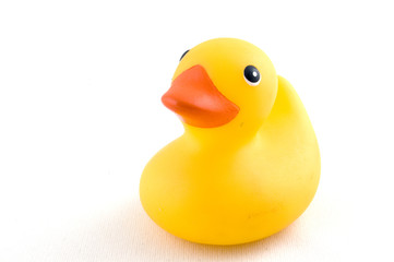 cute yellow rubber duck isolated on a white background
