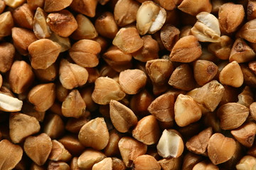 buckwheat background