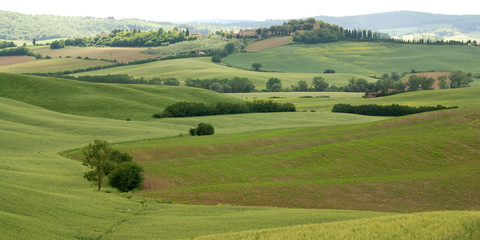 Obraz premium Siena, le Crete Senesi