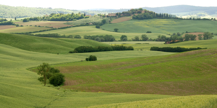 Siena, le Crete Senesi