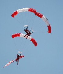 Three Skydivers