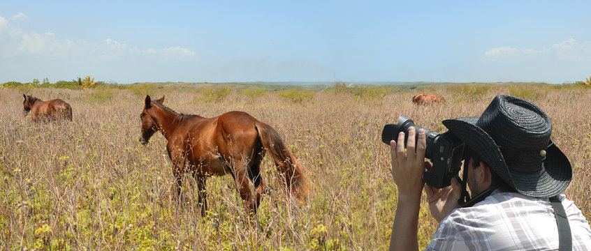 Wildlife photographer aiming at runing horses