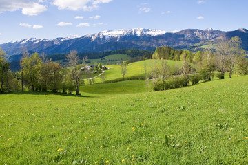 alpine farm land in austria