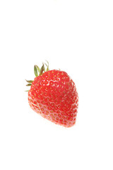 Single Strawberry