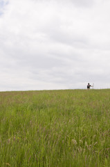Einsamer Wanderer auf Wiese