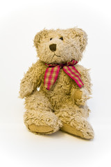 typical teddy bear on white background
