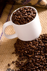 Whole Coffee Beans in Cup