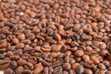 coffee beans on white background