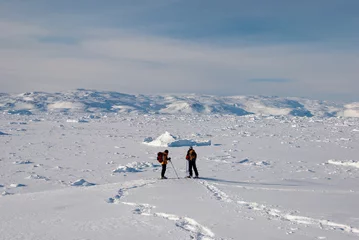 Papier Peint photo Cercle polaire Raquettes à neige et champ de glace au Groenland