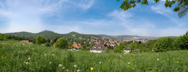 Panorama