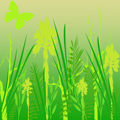 Blumenwiese