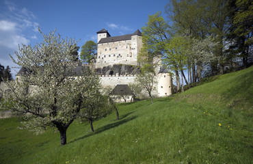 Fototapeta na wymiar Wanderweg im Waldviertel mit Burg Rapottenstein