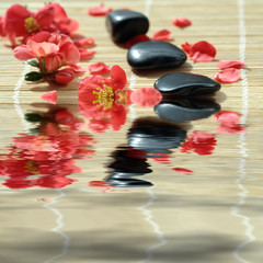 Spa composition of stones and red petals of flower