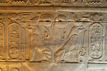 Horus at Kom Ombo