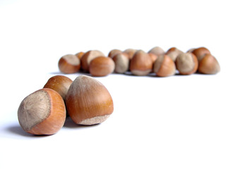 hazelnuts