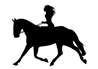 No drill roller blinds Horse riding Woman on Horse