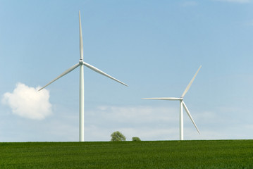éoliennes et nature