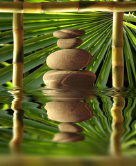 Obrazy na Szkle  Świeżość Zen