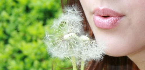 pusteblume
