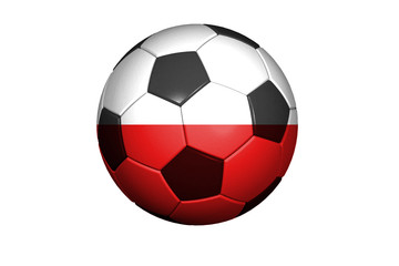 Polen Fussball WM 2010