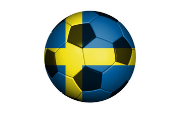 Fototapeta premium Schweden Fussball WM 2010
