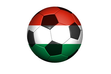 Ungarn Fussball WM 2010