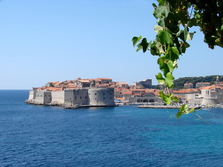 Dubrovnik grape wine