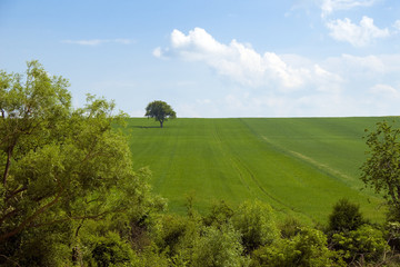 paysage champêtre