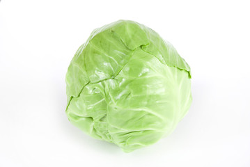 Fototapeta premium cabbage