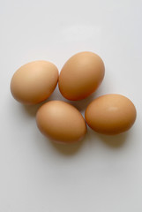 oeuf