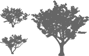 3 vector  trees