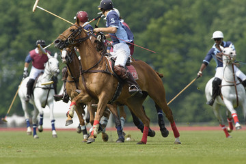 polo03