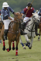 polo01