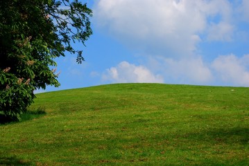 Hillside view