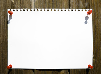Blank Banner