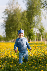 A cute child walking on sunny dandelion meadow