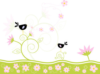Loving birds singing spring