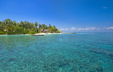 Fototapeta premium kawałek raju na odosobnionej wyspie Malediwy