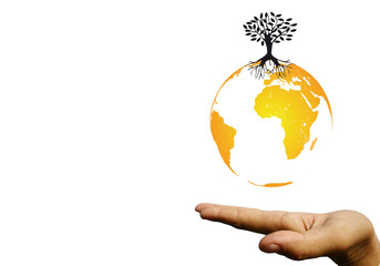 Protection de l'environnement