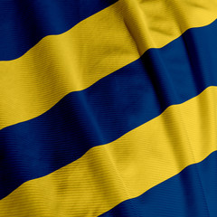 Blue and Yellow Team Colors Flag