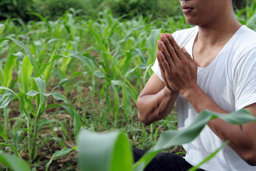 man meditation in nature
