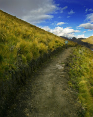 Hiking trail in South America.